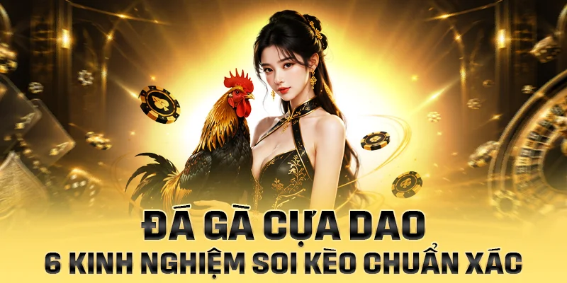 Đá gà cựa dao có luật chơi và quy trình tổ chức riêng biệt mà bạn cần nắm rõ